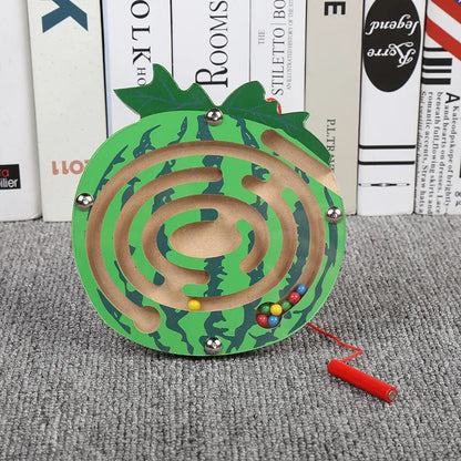 Montessori Magnetic Maze