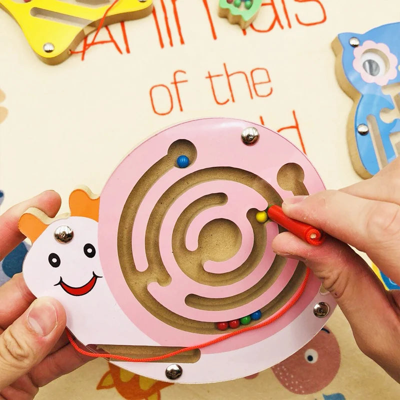 Montessori Magnetic Maze