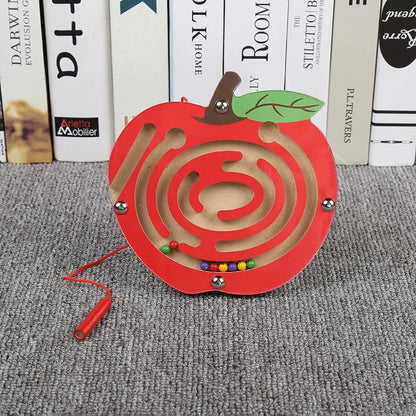 Montessori Magnetic Maze